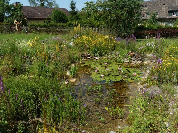 Biodiversität_Biorana Biodiversität_Biorana